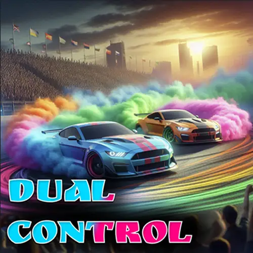 Dual Control Game